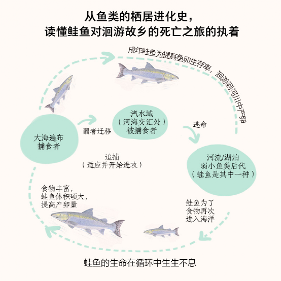 那些用尽全力活过每一秒的生命 一本风靡日本的动物生死书 腾讯新闻