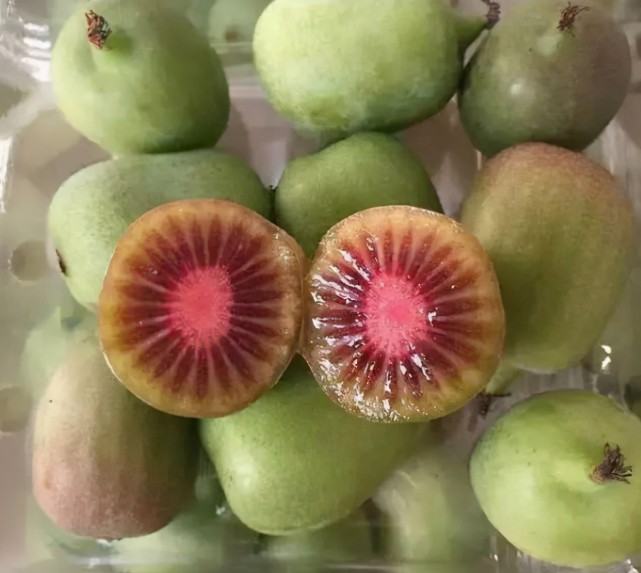 家里有空地的这棵树种上两棵果子软糯香甜老人小孩都爱吃