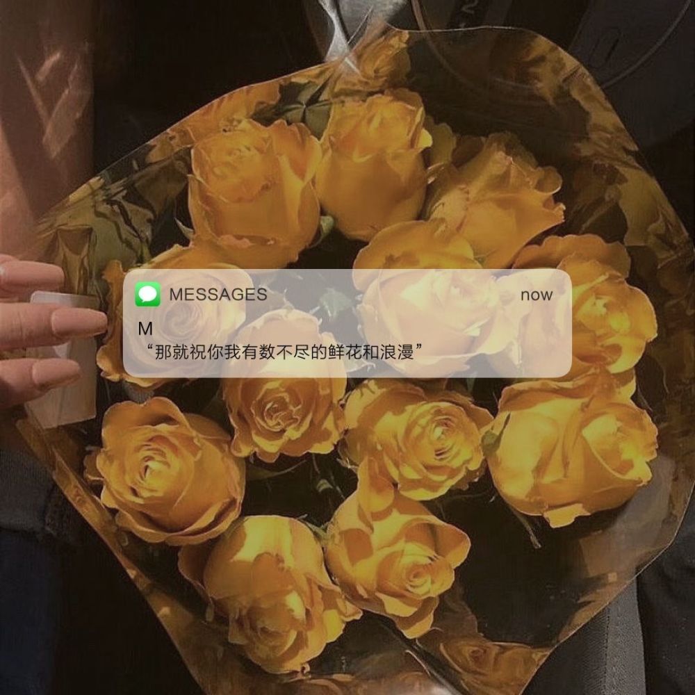 少年感文艺文案