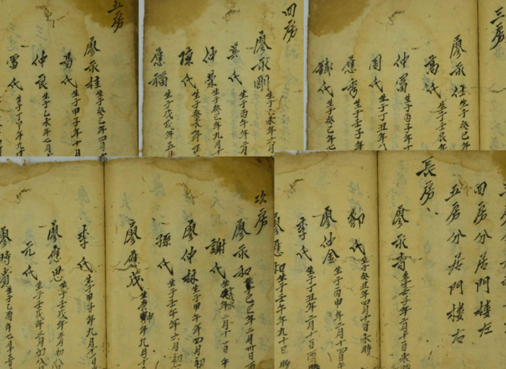 最特别 的小学生名字 连名带姓一共只有5个笔画 家长太神了 腾讯新闻