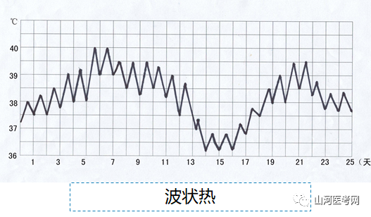 回归热指体温骤升达39℃或以上,持续数天后又骤然下降至正常水平.