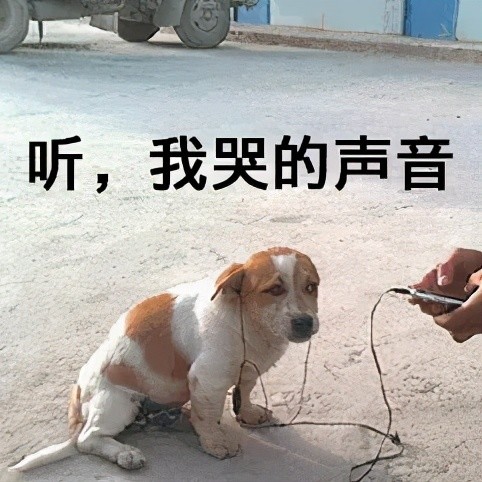 尴尬癌犯了戴降噪耳机说话的社死现场你经历过几个