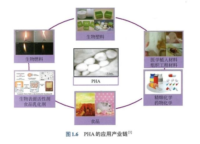 為了尋找更好的全生物降解材料他研究了36年