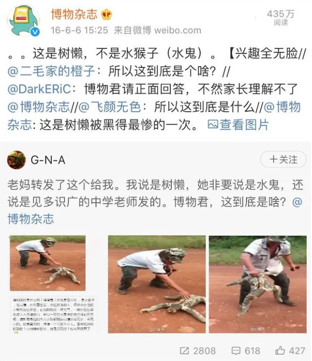 頭一頓猛錘,然而他酷似藏狐的長相被人直接安上了