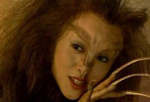 《西游记》里为何没有"猫妖"?猫:你去查一下我以前是干啥的!