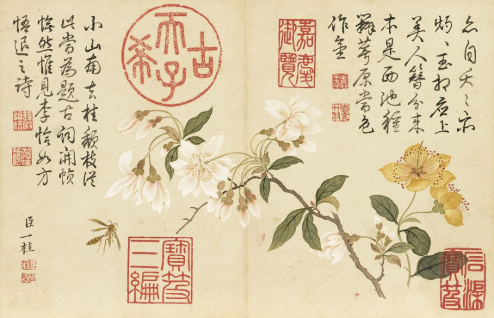 春日知识帖 跟着古画赏花 识花 辨花 腾讯新闻