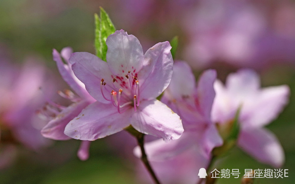 4月16日星座运势 双子集思广益 天蝎坚持到底 水瓶亲力亲为 腾讯新闻