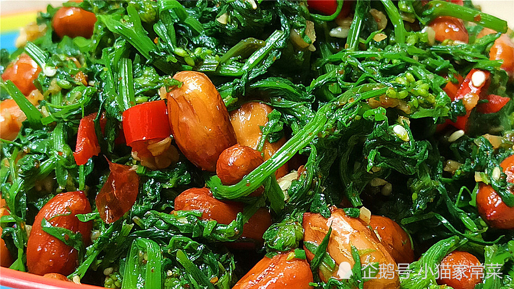 教你用野豌豆苗做成凉拌菜 制作特别简单 10分钟就做好 真香 腾讯新闻