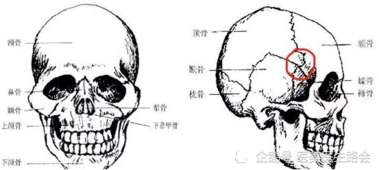 太陽穴是顱頂骨,額骨,蝶骨及顳骨的交匯之處,被稱為