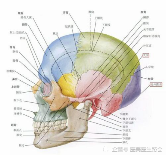 太阳穴是死穴不能动刀填充