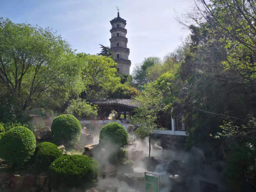 阜阳这个知名公园太仙了成了网红打卡地