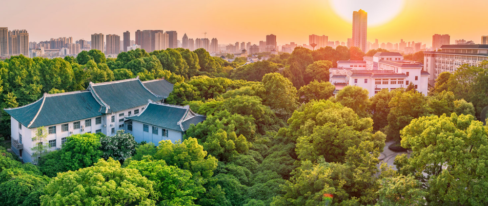 华中师范大学龙岗图片