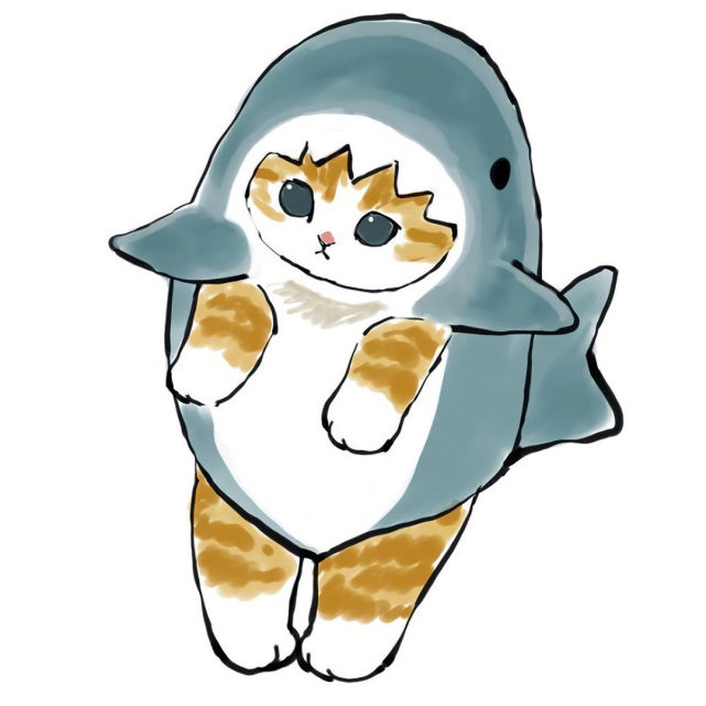 头像一只傻猫鲨猫