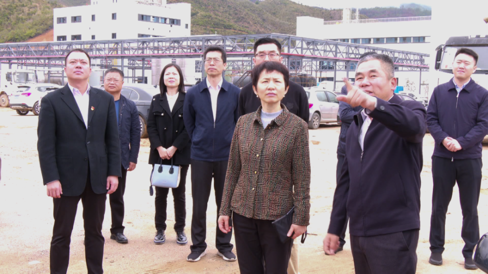 中咨公司党委副书记董事牛向春一行到清流开展专题调研