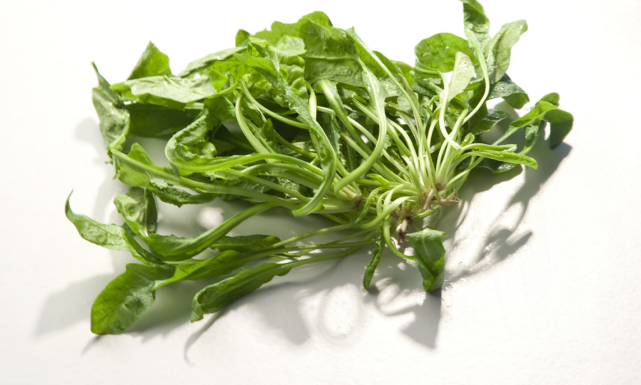 天然的护肝菜就是它遇见别错过养肝护肝肝脏更健康了