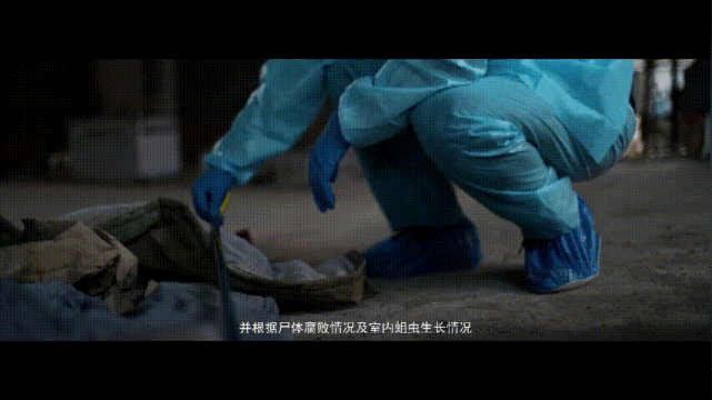 政法英模陈泰重案现场挖真相