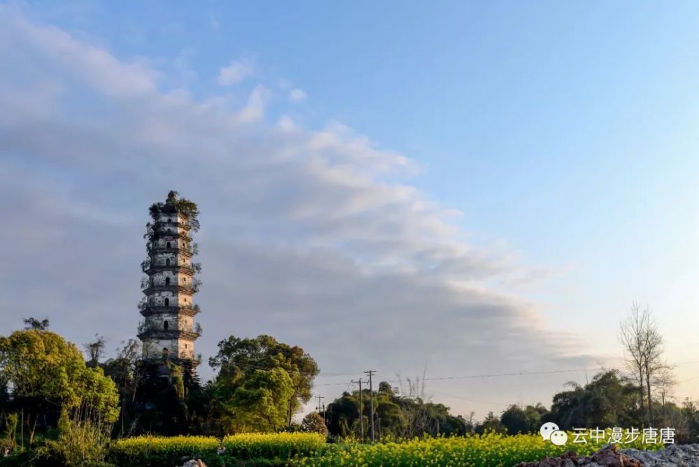 行走的风景—岳池白塔_腾讯新闻