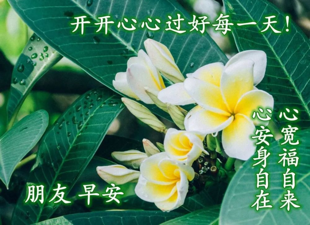 早安!感恩遇见,点亮赞,在看