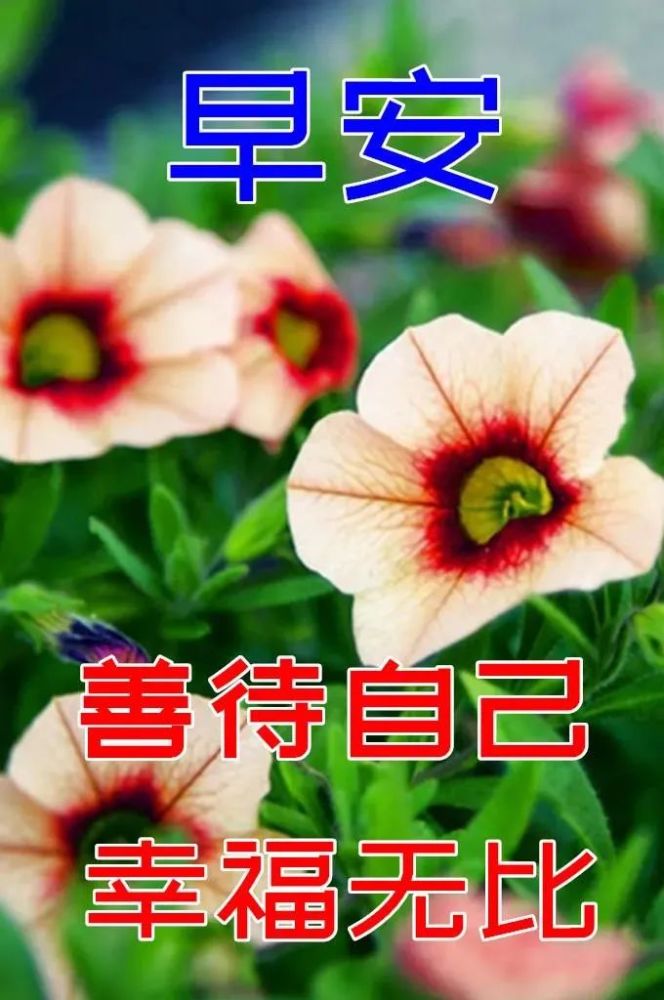 秋天天冷了關心問候大家早上好祝福圖片秋天注意保暖早安問候祝福語