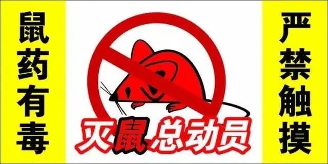 提醒广大群众,鼠药投放期间,请照看好小孩,老人,宠物和家禽,家畜也应