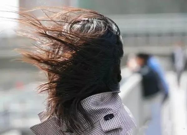 呼呼呼呼呼呼大风阵雨冷空气又来袭