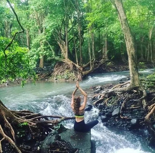 【森林疗养】森林浴:一种流行的自然疗法|疗养|慢性阻塞性肺炎|2型糖