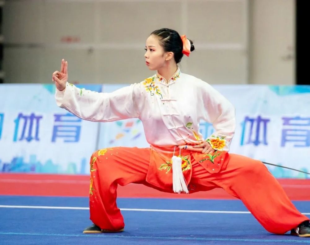 她武林高手文武双全