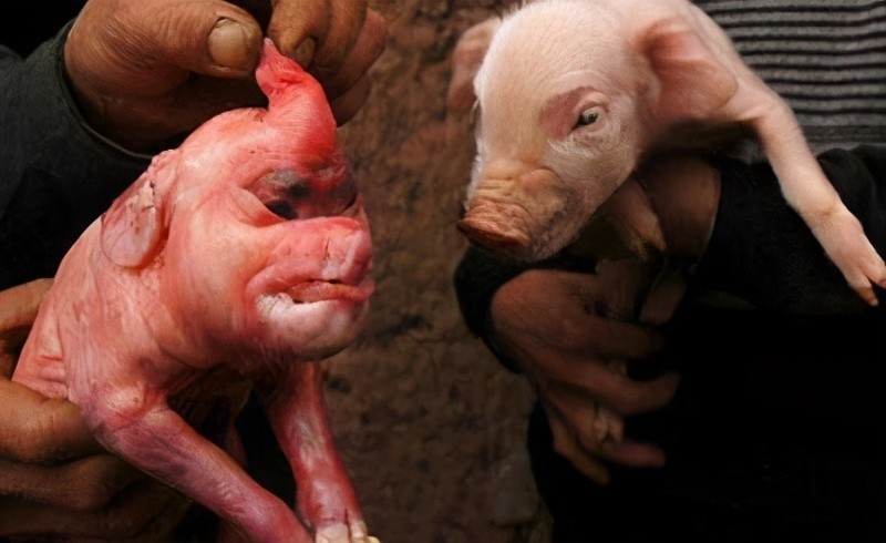 日本排出核污水带来的新兴产业 你会体验吗?