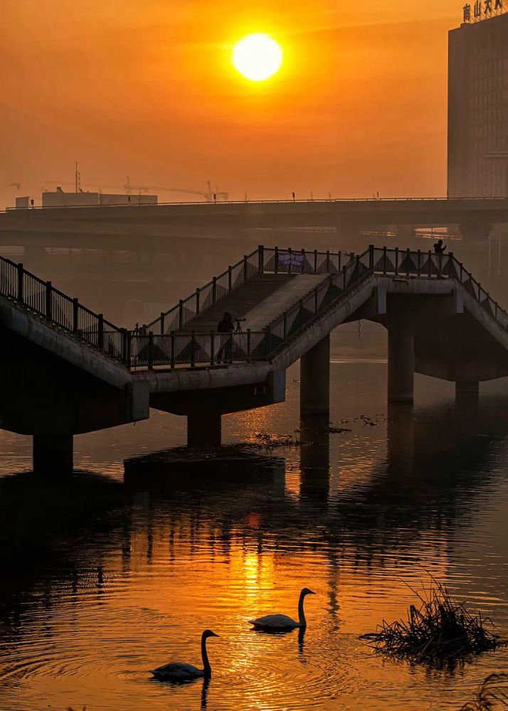 新闻纪实津门网刘士荣天使的乐园锦州女儿河天鹅湖