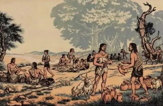 200万年前 远古人类的智商还很低 为什么会突然懂得种植食物 腾讯新闻