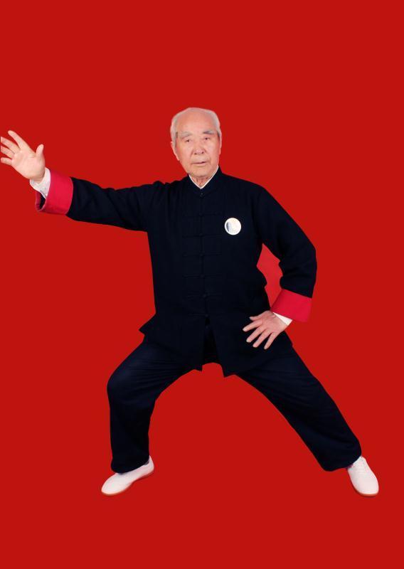 武术名家李树发
