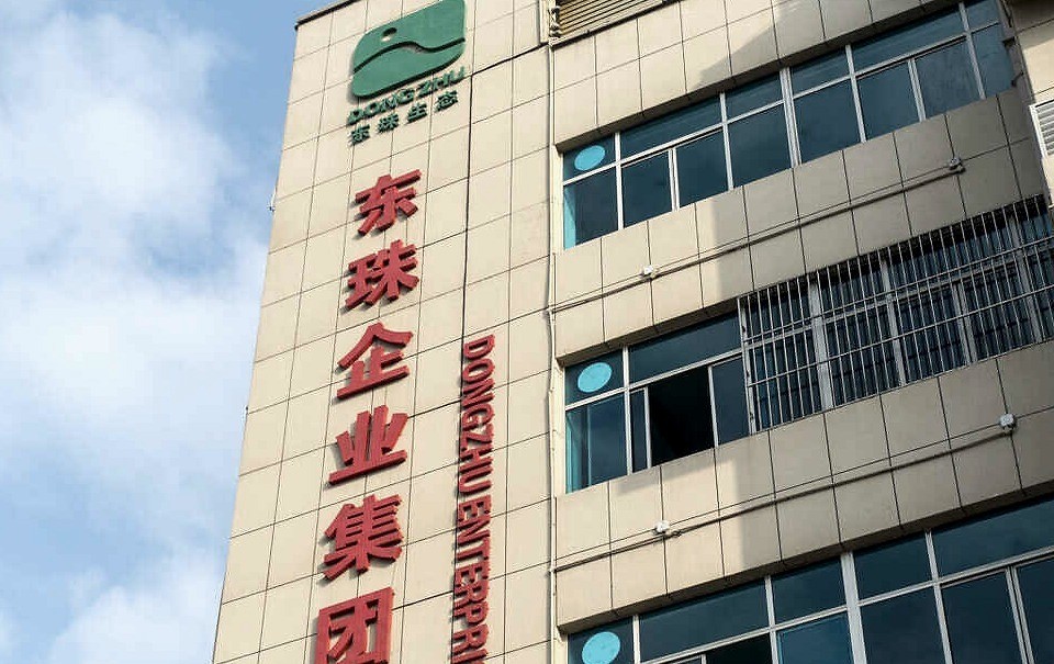 东珠生态连续四年营收两位数增长,加速回款现金流转正_腾讯新闻