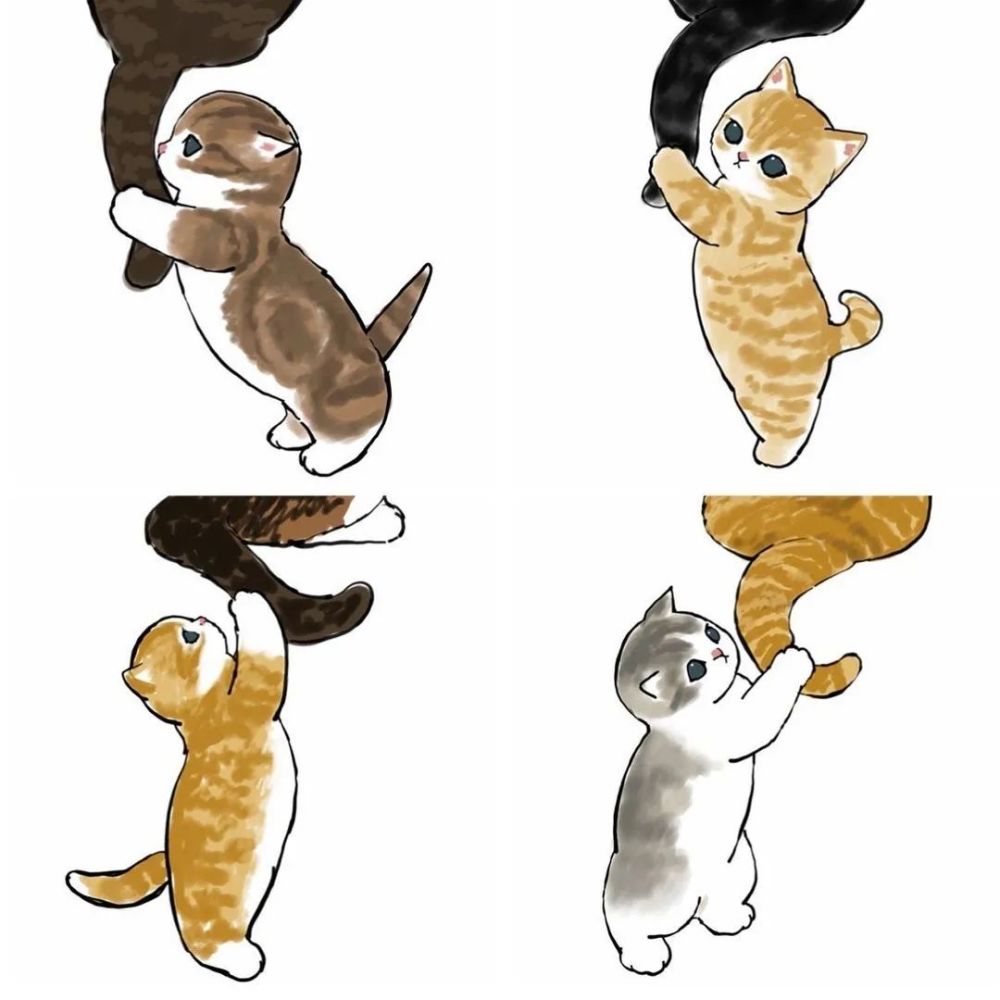 超可爱猫猫手绘图傻傻的小猫萌翻了