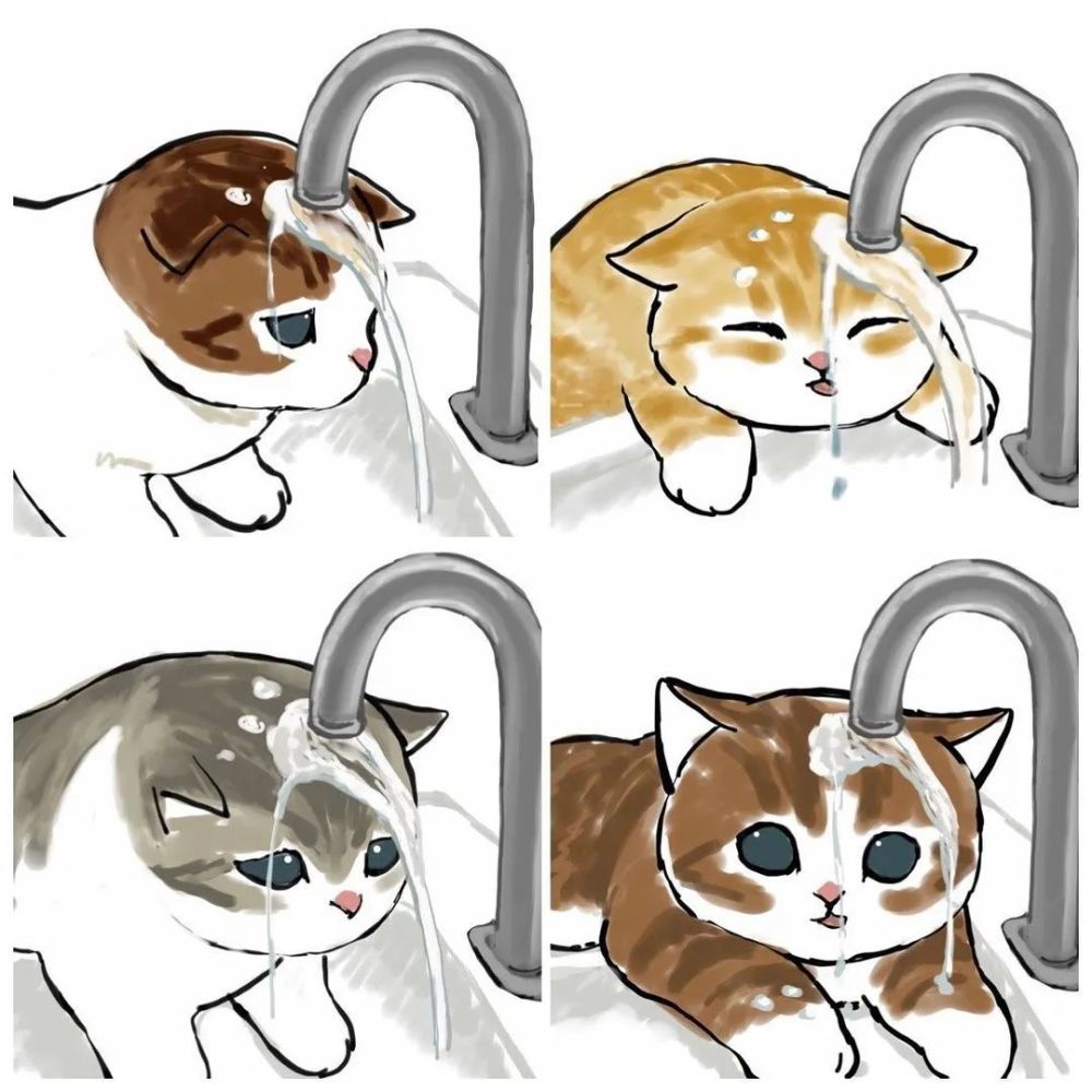 超可爱猫猫手绘图傻傻的小猫萌翻了