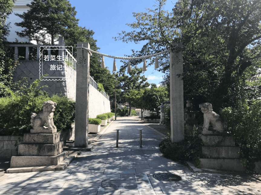 大阪堺市自由行攻略 百舌鸟八幡宮月见祭 南宗寺观赏庭院风光 腾讯新闻
