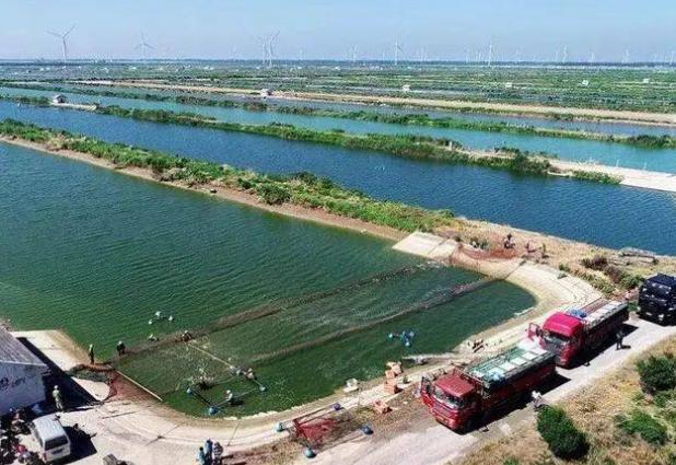 当时,以四岔河为中心的20万亩荒地为中心作为上海垦区,几经变迁后,定