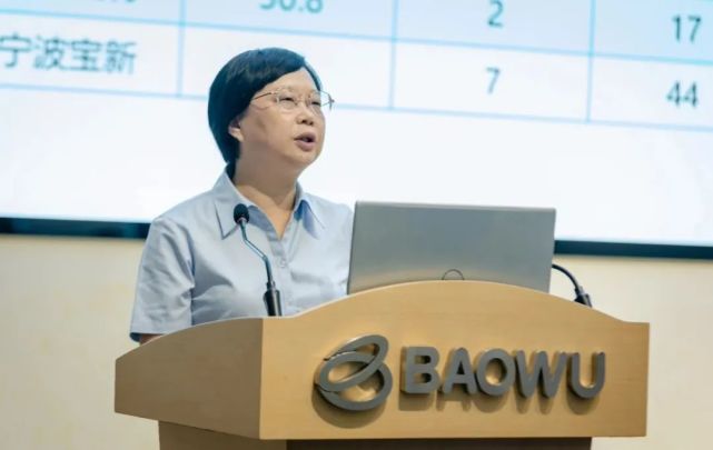 湖北女将跨省救火|中国宝武|云南省纪委监委|湖北|王素琳|昆钢