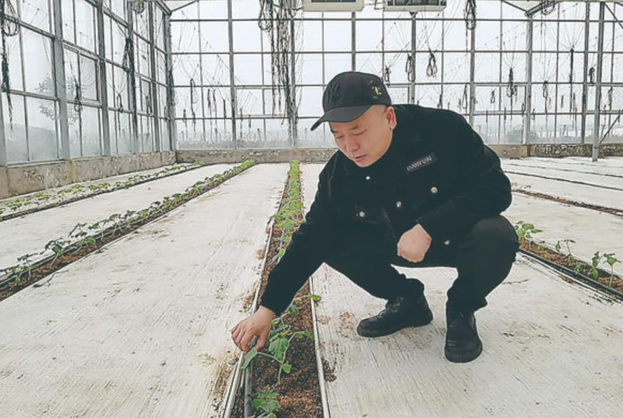 杨天旭向记者介绍水肥一体化系统. 株洲日报·掌上株洲记者/邹怡敏 摄