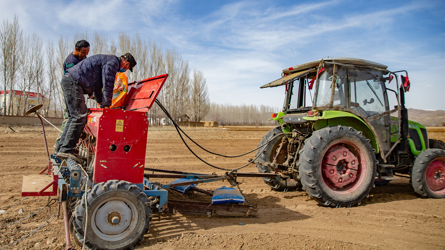 4月9日,阿勒泰地区阿勒泰市阿苇滩镇农民将小麦种子装进播种机,做春播