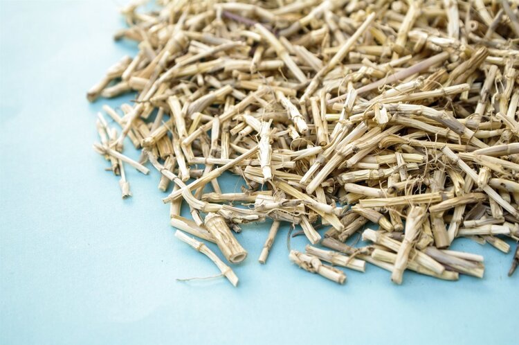 鲜芦根熬水当茶喝,可以治疗鼻咽癌吗?有人试过,结局不太好