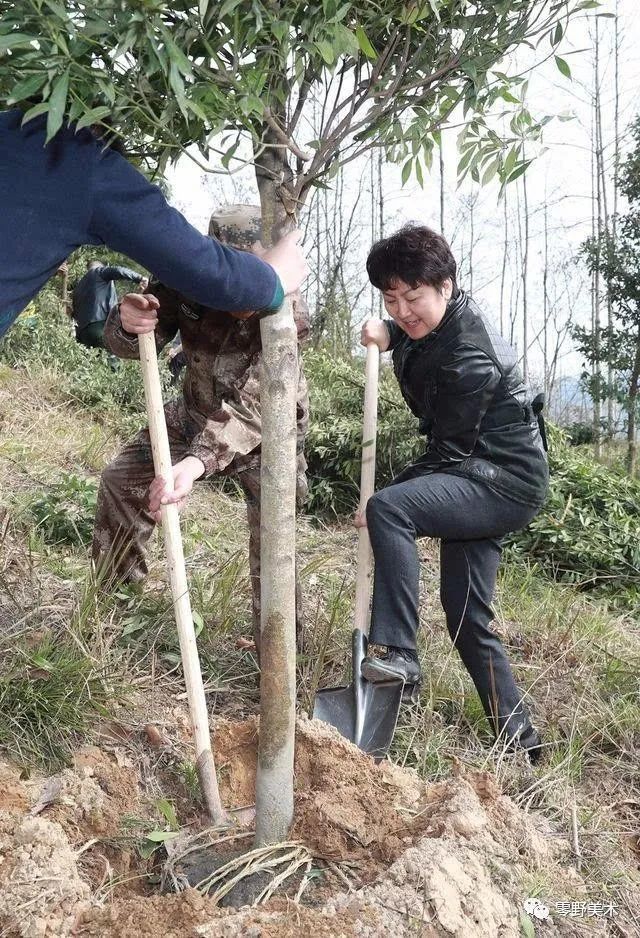 赠别包惠女士图片