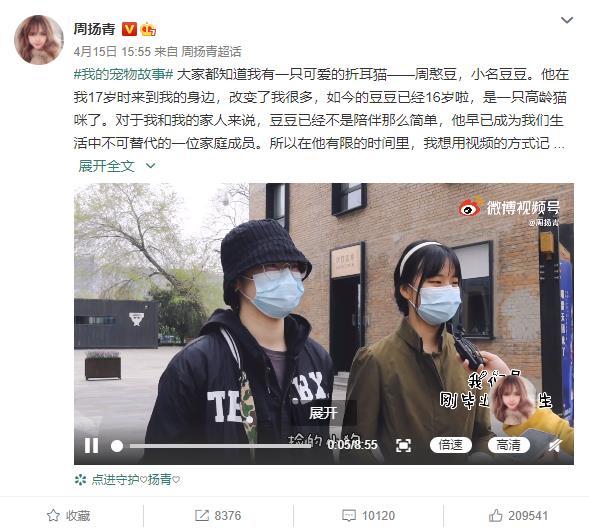 周扬青发文呼吁不要养折耳猫