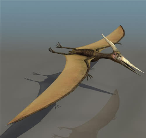 美国内战时抓到一巨型翼龙与士兵留下合影照片究竟是真是假