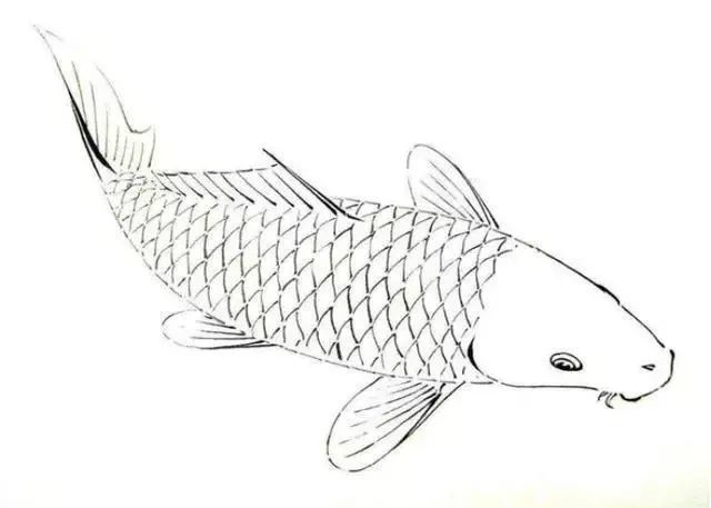 白描金鱼大全