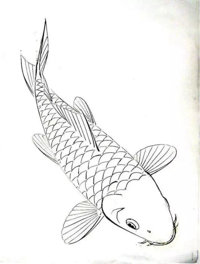 白描金鱼大全