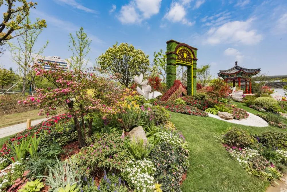 第十七届中国杜鹃花展,今起"盛放"!快跟小布一起来打卡_腾讯新闻