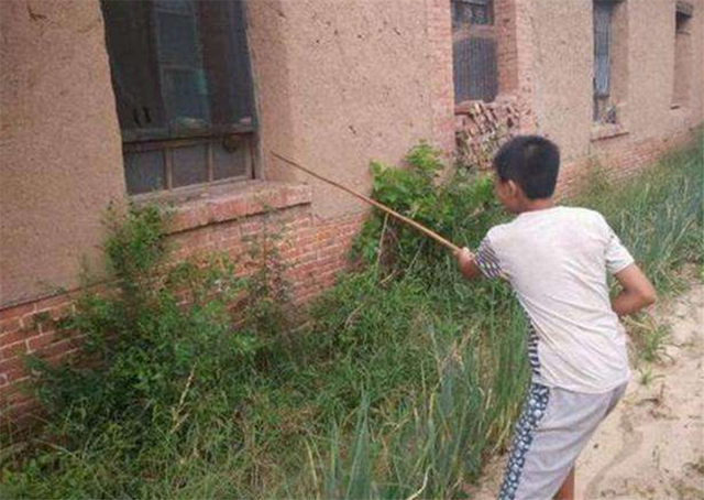 熊孩子兄妹俩捅马蜂窝被蛰成猪脸爹妈不该笑但没忍住