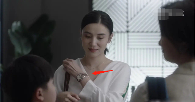 生活剧高收入家庭小舍得南俪手表6万9童文洁年薪60万