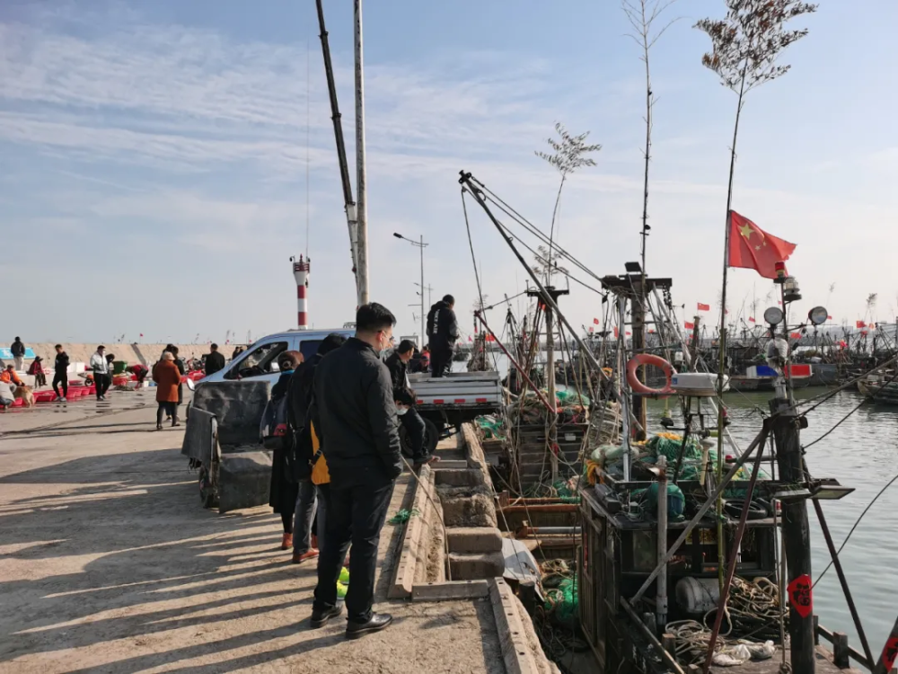 张家台码头比其他码头略大各种海鲜货源充足是逛码头的首选之地桃花岛