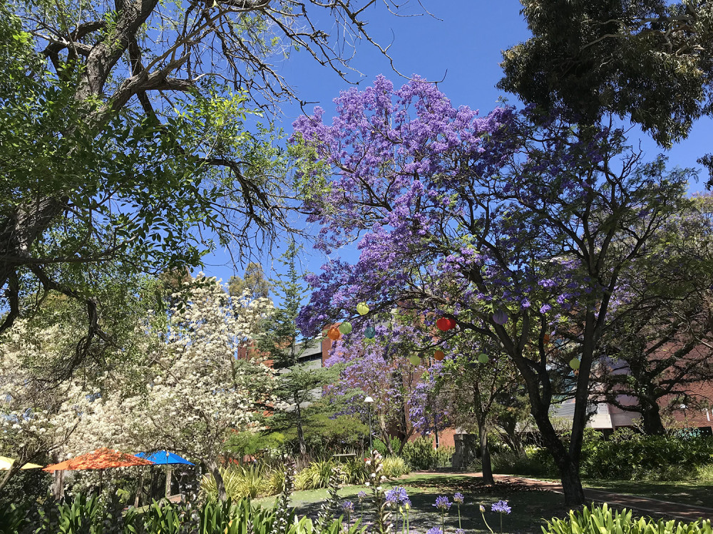 商学院排行_《巴黎人报》商学院排名:法国诺欧商学院NEOMA排名第7!